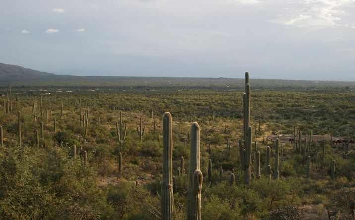 Pictures of Land property located at 3060 Placita De Nazca, Tucson, AZ 85749 for sales - image #1