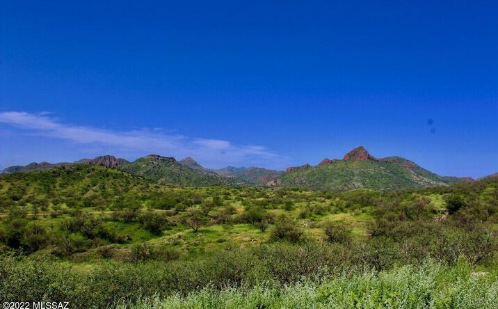 Pictures of Land property located at 34 Muledeer Drive, Rio Rico, AZ 85648 for sales - image #1