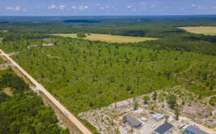 Pictures of Land property located at Lot E Old Shoals Road, Monetta, SC 29105 for sales - image #1