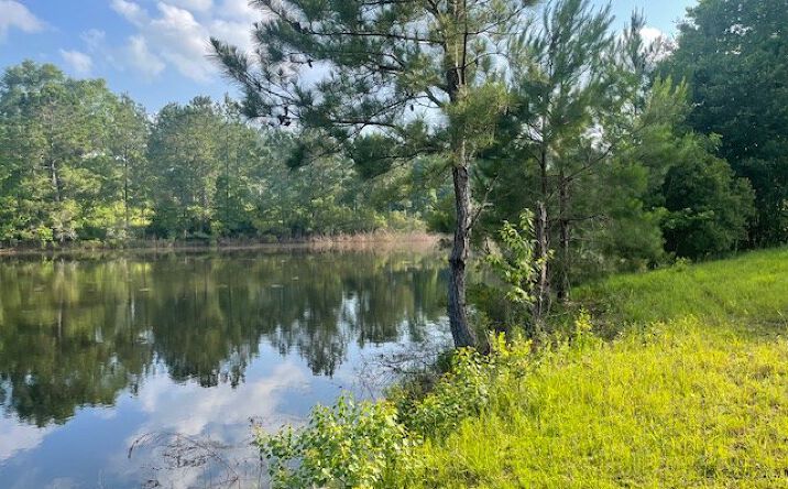 Tract 7 Tract 7 of 620 George Wise Rd, Carriere, MS 39426 | Crexi.com