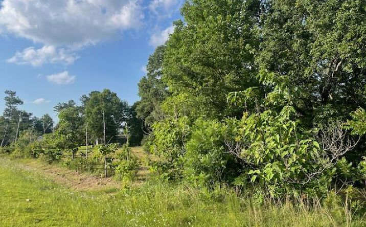 NHD George Wise Rd, Carriere, MS 39426 | Crexi.com