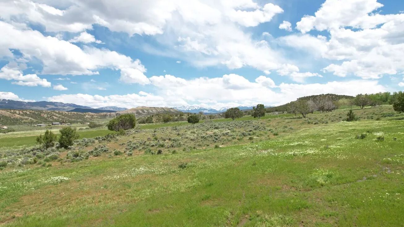 22465 Horsefly Rd, Montrose, CO 81403
