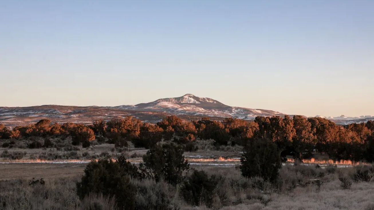 Bostwick Park Rd, Montrose, CO 81401