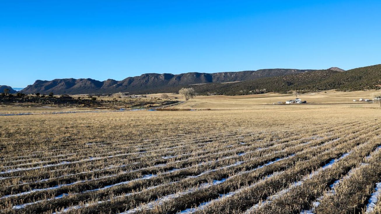 Bostwick Park Rd, Montrose, CO 81401