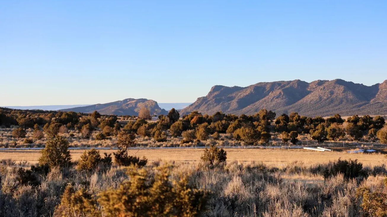 TBD Tract 7 Bostwick Park Rd, Montrose, CO 81401