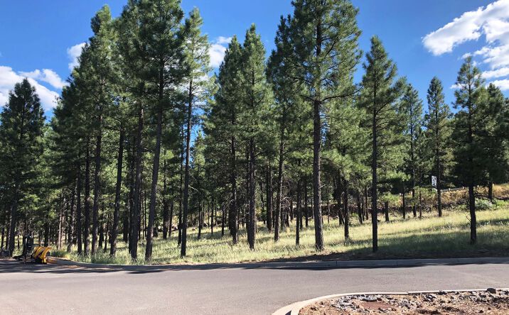 Pictures of Multifamily, Land property located at 800 N Switzer Canyon Dr, Flagstaff, AZ 86001 for sales - image #1