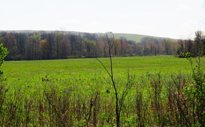 Pictures of Land property located at 0 Gratiot Road, Lenox, MI 48048 for sales - image #1
