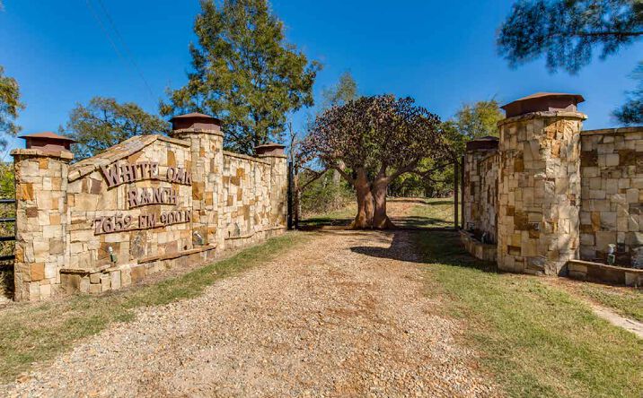 Pictures of Land property located at 7659 FM 900 N, Saltillo, TX 75478 for sales - image #1