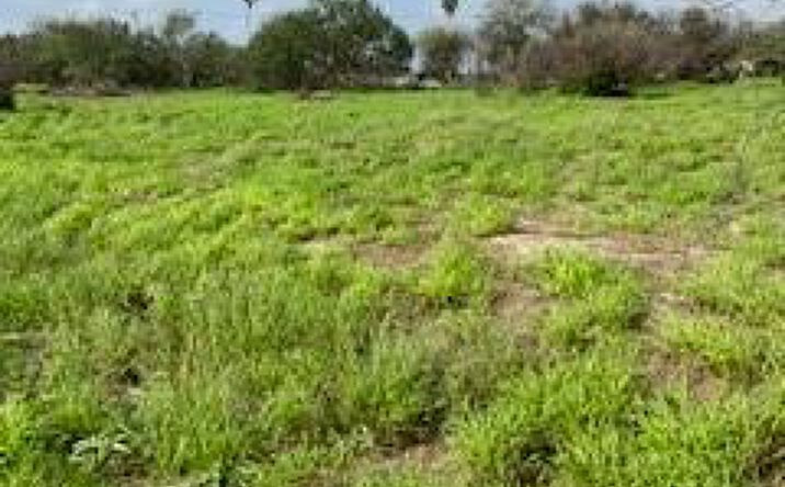 Pictures of Land property located at 000 Simpson Road, Edinburg, TX 78542 for sales - image #1