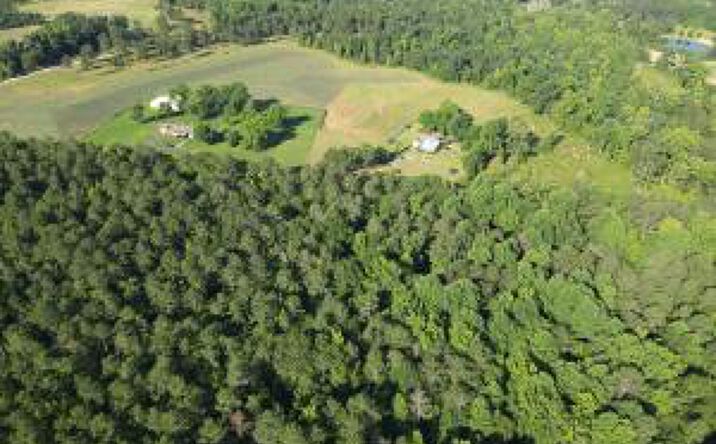 Pictures of Land property located at 0 Padgett Pond Road, Monetta, SC 29105 for sales - image #1