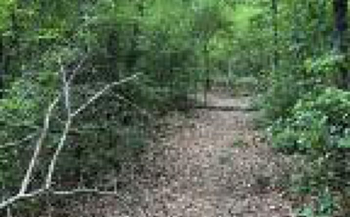 Pictures of Land property located at 0 Lyndale Drive, West Columbia, SC 29170 for sales - image #1