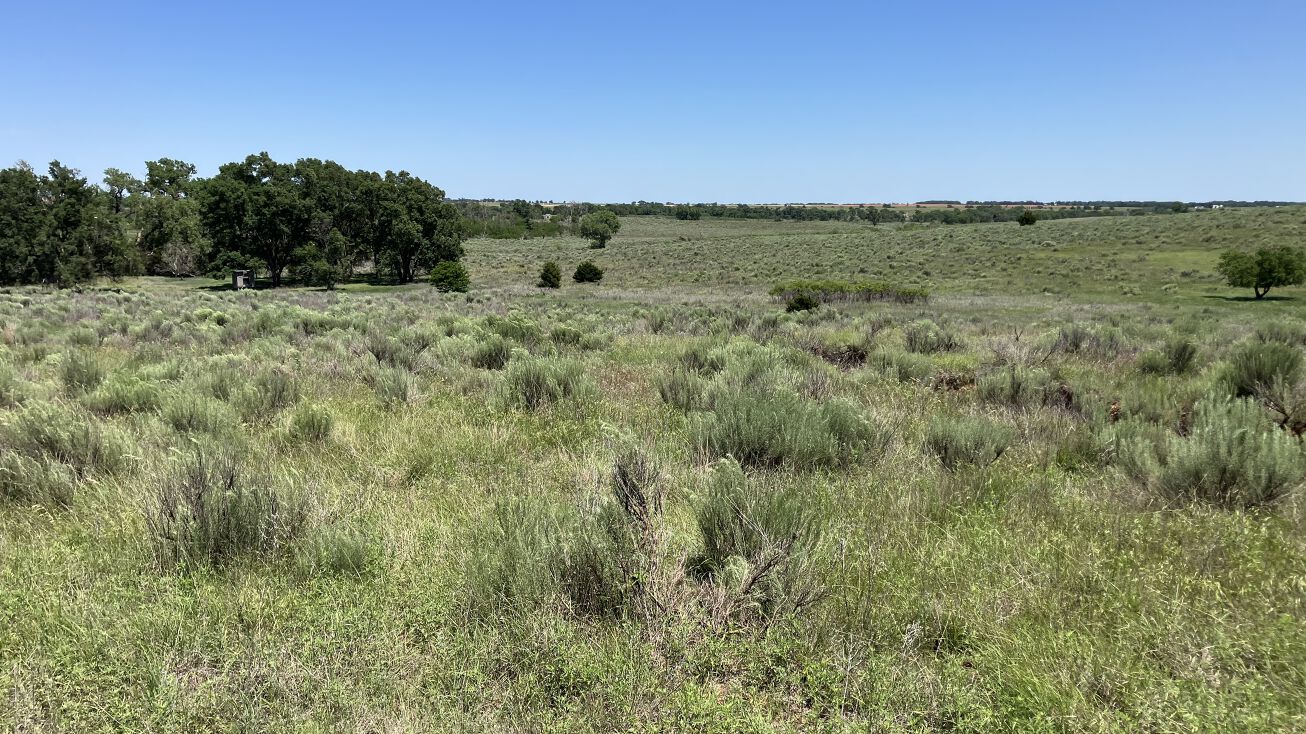 Barker Ranch North, Shamrock, TX 79079