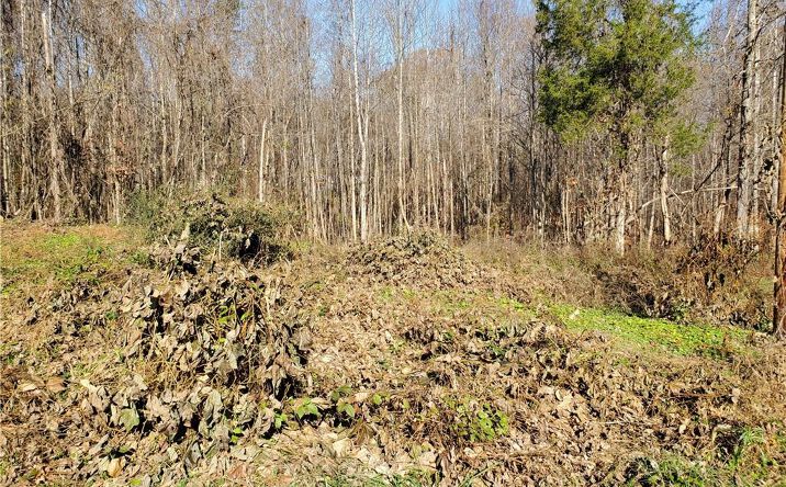 Pictures of Land property located at 9b & 10b Faylyn Drive, Pfafftown, NC 27040 for sales - image #1