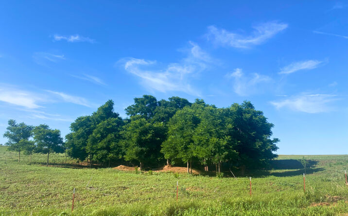 Pictures of Land property located at Camargo, OK, Camargo, OK 73835 for sales - image #1
