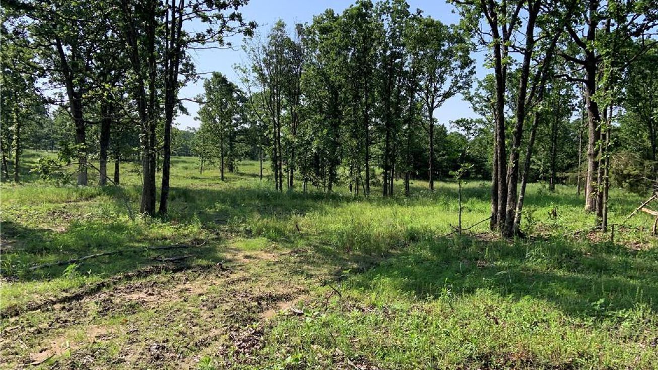 1000SE NE 100th Road, Sheldon, MO 64784