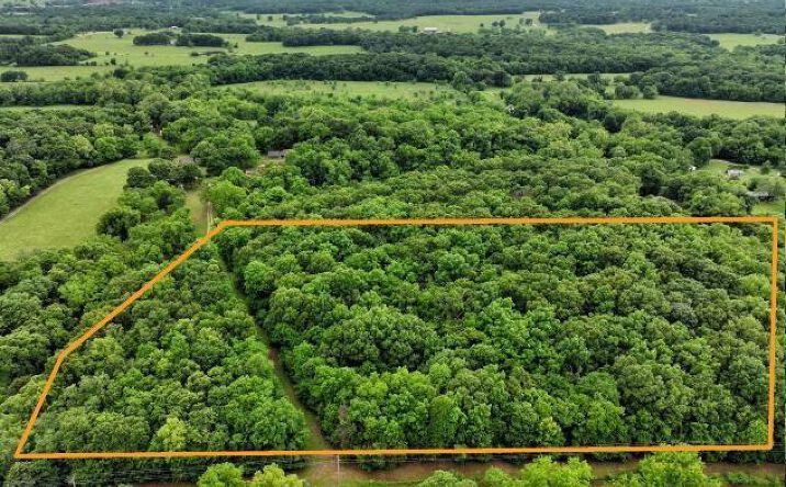 Pictures of Land property located at 8526 Trout Farm Road, Neosho, MO 64850 for sales - image #1