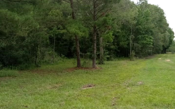 Pictures of Land property located at NHN Compton Ranch Rd, Poplarville, MS 39470 for sales - image #1