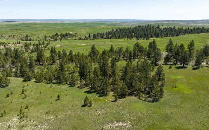 NF Ranch on the Musselshell River, Musselshell, MT 59059 | Crexi.com