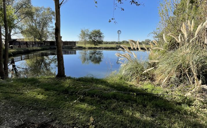 Pictures of Land, Mixed Use, Multifamily, Special Purpose property located at 1804 E College Blvd, Roswell, NM 88201 for sales - image #1