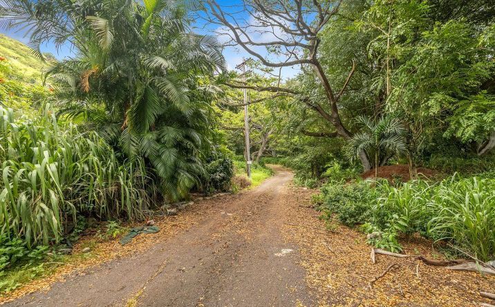 Pictures of Land property located at 98-673 Kilinoe St, Aiea, HI 96701 for sales - image #1
