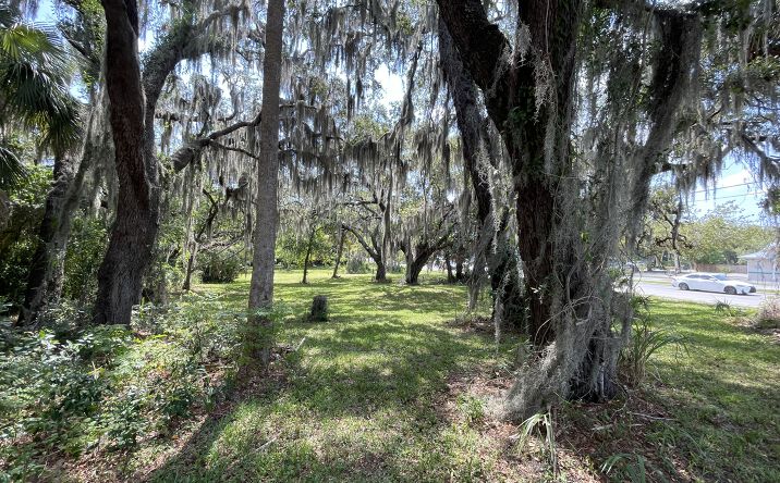 Pictures of Land property located at 2528 Garden St, Titusville, FL 32796 for sales - image #1