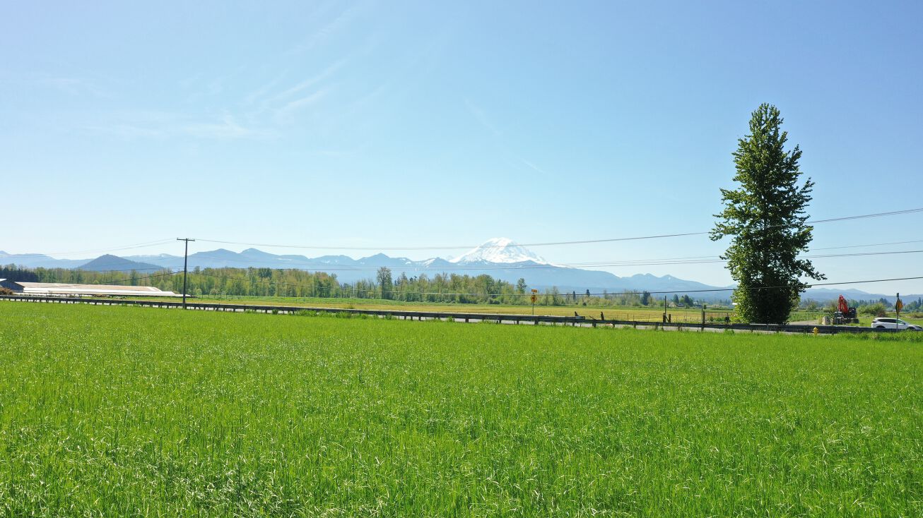 43xxx 208th Ave SE, ENumclaw, WA 98022, Enumclaw, WA 98022