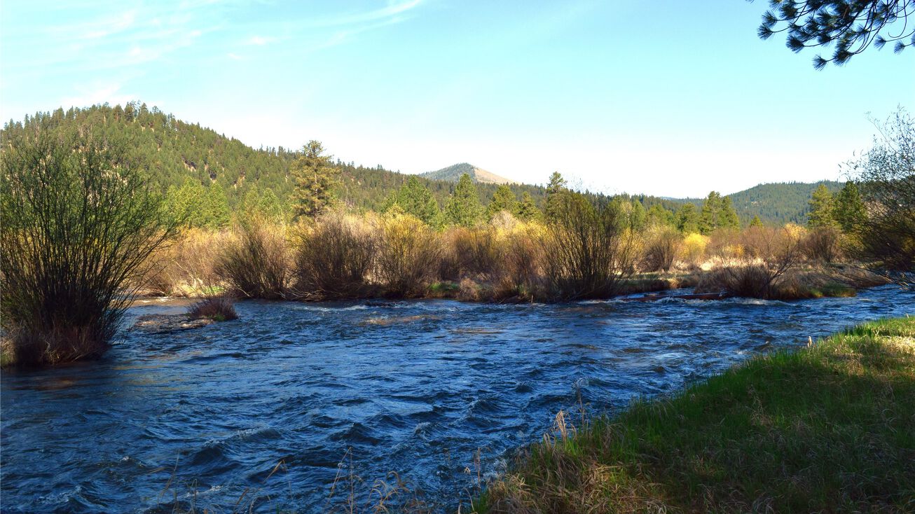 9315 West Fork Road, Darby, MT 59829