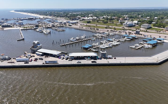 Pictures of Land property located at 295 E Harbor Dr, Pass Christian, MS 39571 for sales - image #1