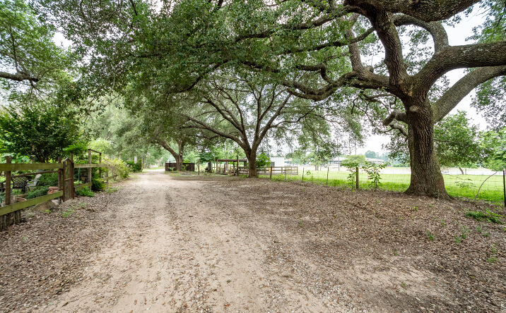 Pictures of Land property located at 17801 Nonesuch Rd, Conroe, TX 77306 for sales - image #1