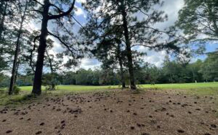 Pictures of Land property located at 0 Cooks Bridge, Aiken, SC 29805 for sales - image #1