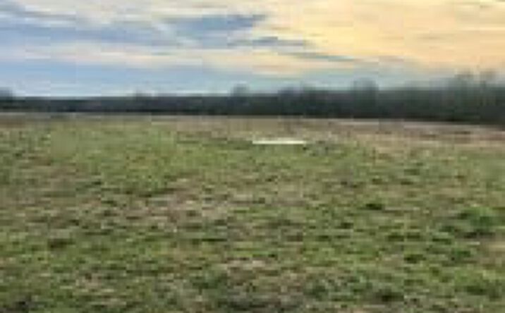 Pictures of Land property located at Tbd Highway 82, Clarksville, TX 75426 for sales - image #1