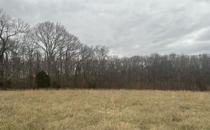 1 MYATT LOOP Burns TN 37029 | Crexi.com