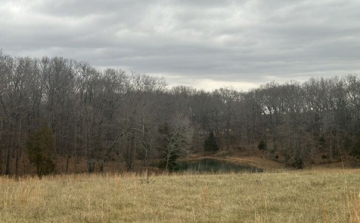 2 Myatt Loop, Burns, TN 37029 | Crexi.com