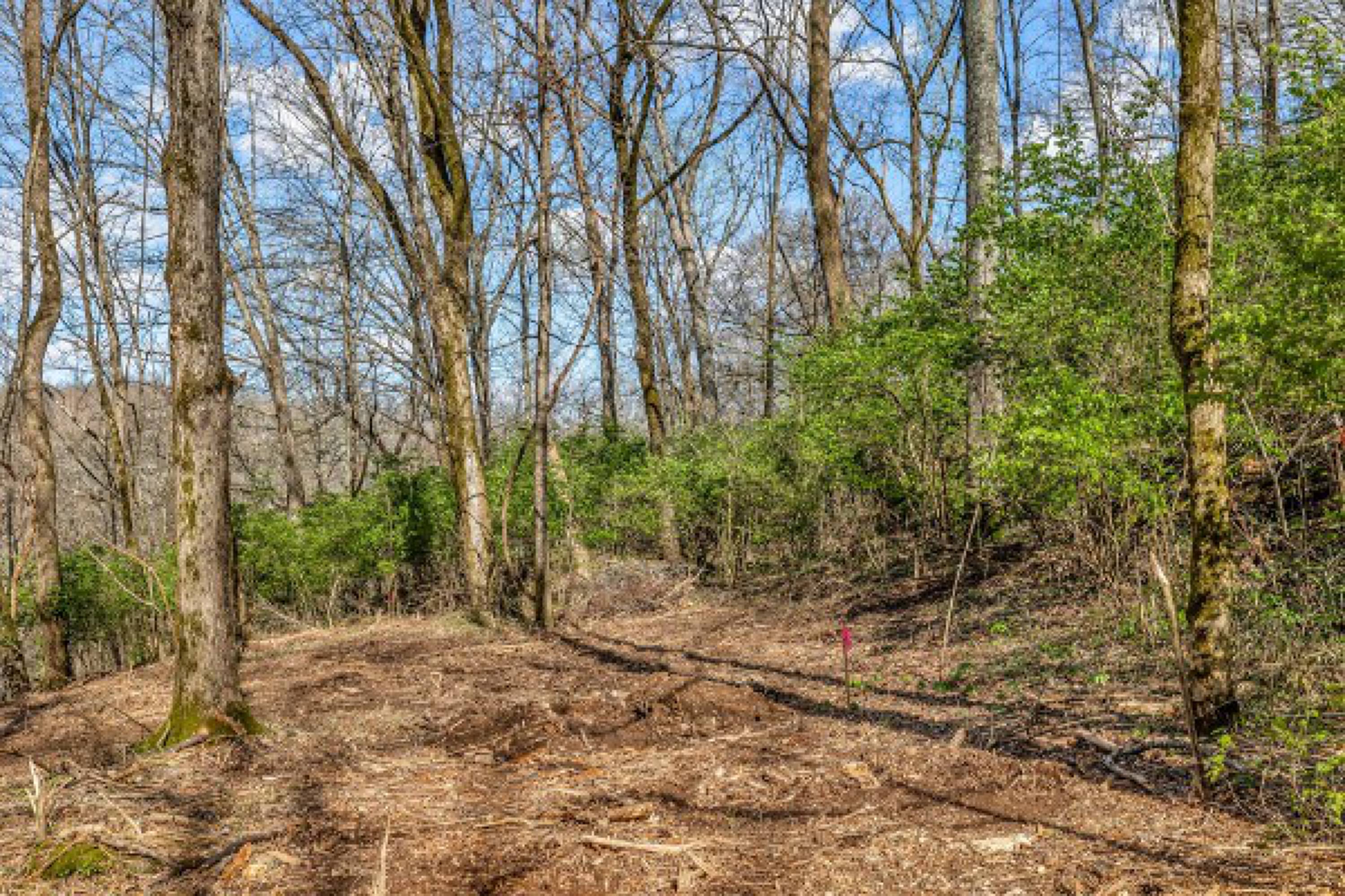 7791 Old Charlotte Pike, Nashville, TN 37209