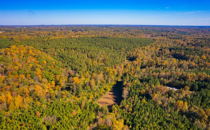 Pictures of Land property located at Hillside Church Rd, Fountain Inn, SC 29644 for sales - image #1