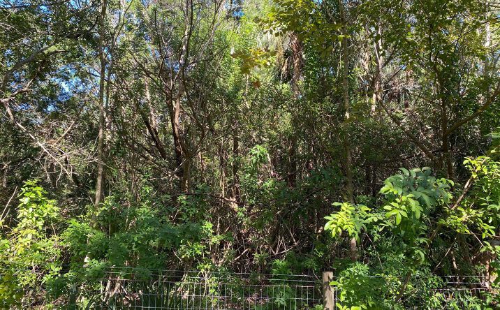 Pictures of Land property located at 0 Sunnyside Avenue, Daytona Beach, FL 32114 for sales - image #1