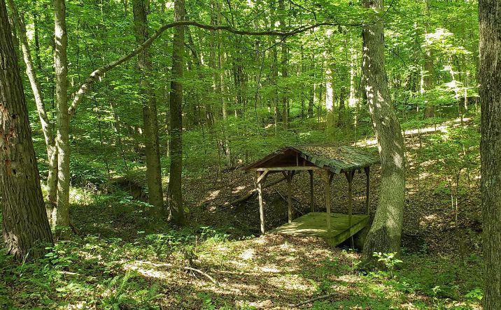 Pictures of Land property located at 9075 Mulberry Road, Mount Perry, OH 43760 for sales - image #1