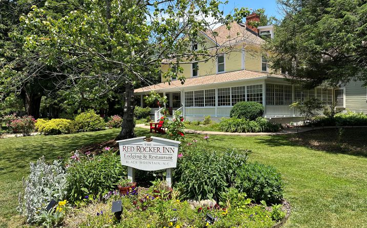 Pictures of Hospitality property located at 136 N Dougherty St, Black Mountain, NC 28711 for sales - image #1