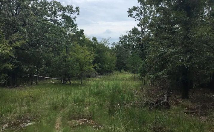 Pictures of Land property located at Colonel Glenn Plaza Dr, Little Rock, AR 72210 for sales - image #1