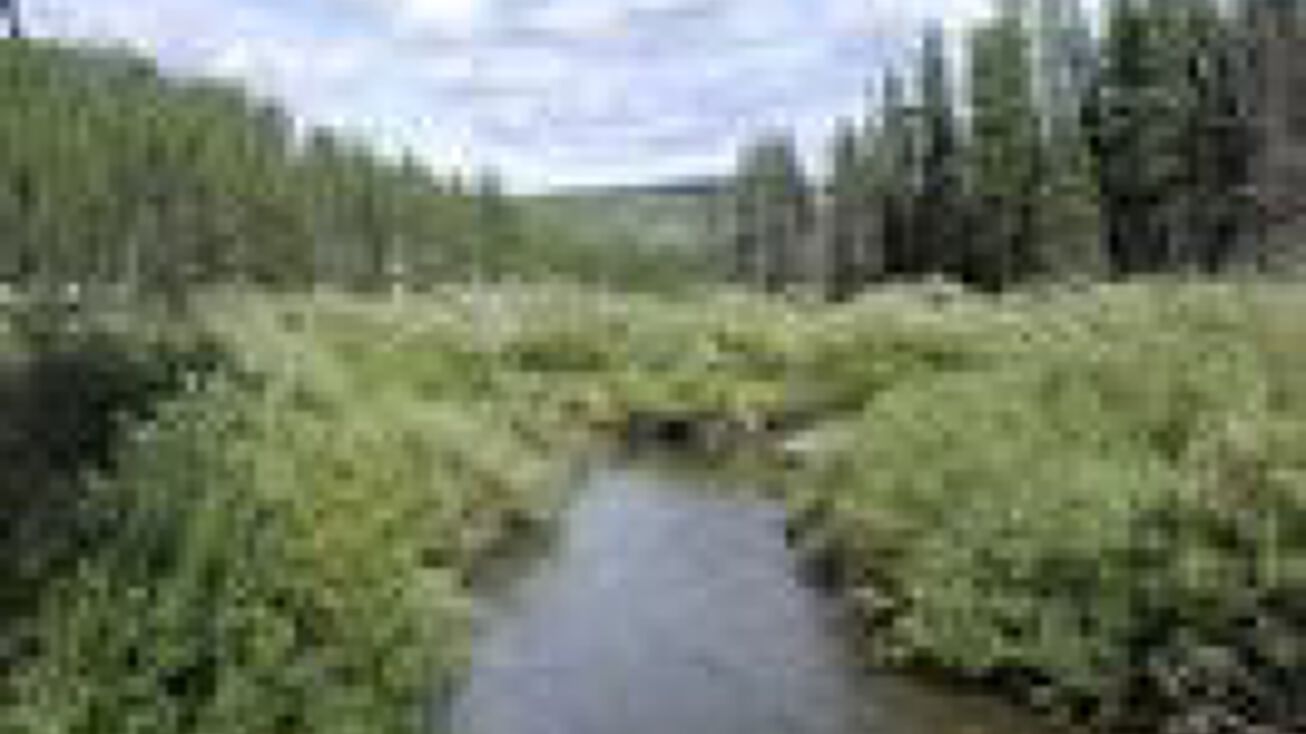 Lot 10 Good Creek, Olney, MT 59927