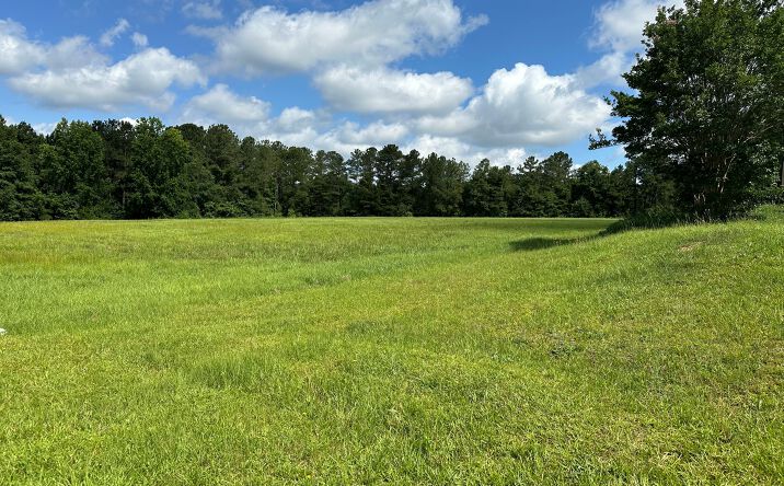 Pictures of Land property located at 213 Richard Ivey Pkwy, Macon, GA 31206 for sales - image #1