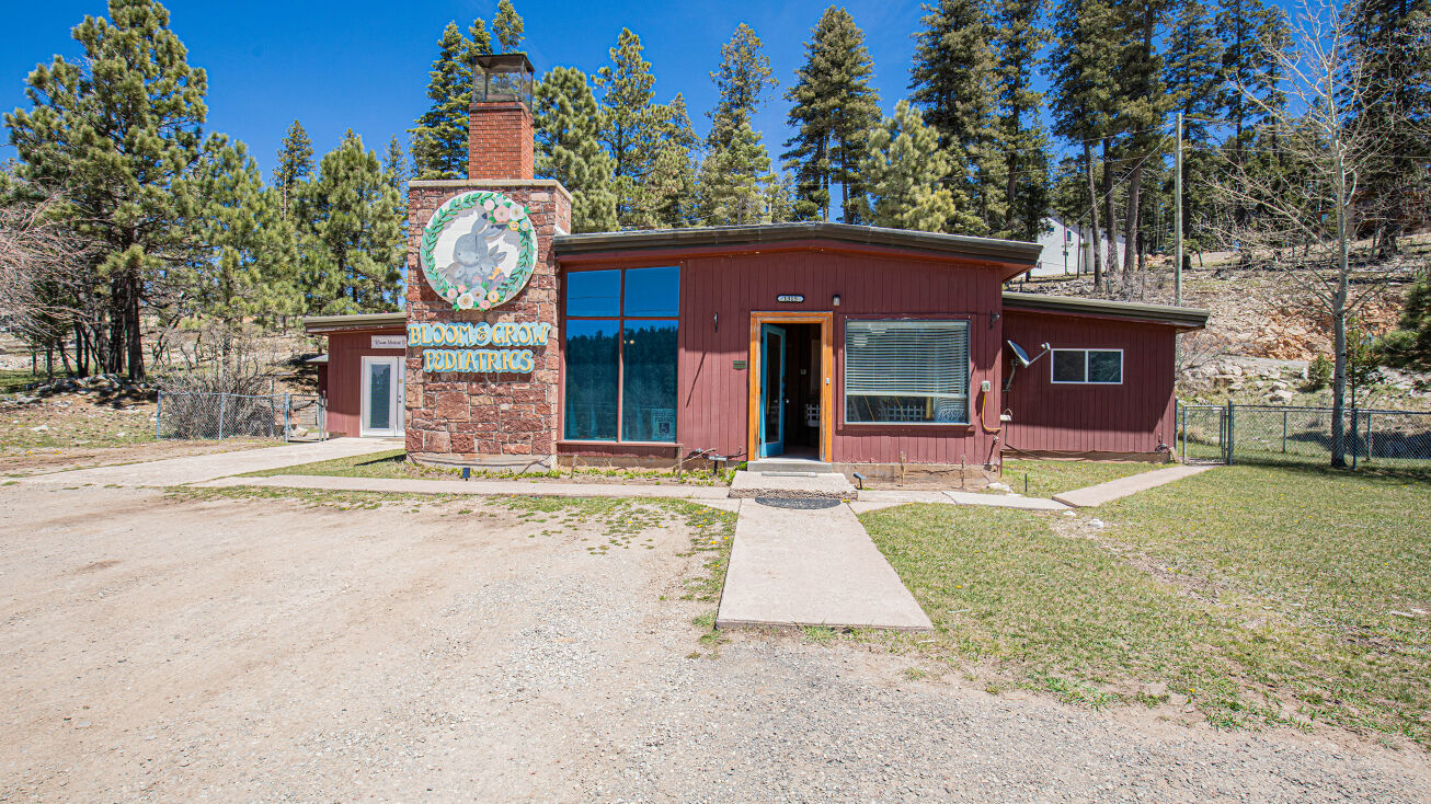 1315 Burro Ave, Cloudcroft, NM 88317