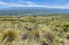 18262570