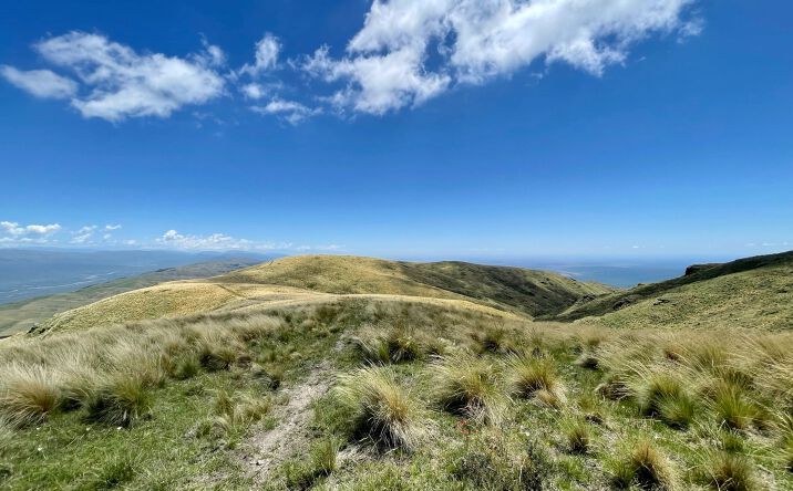 Pictures of Land property located at 1 Ruta 38, Bajada, AR K4716 for sales - image #1