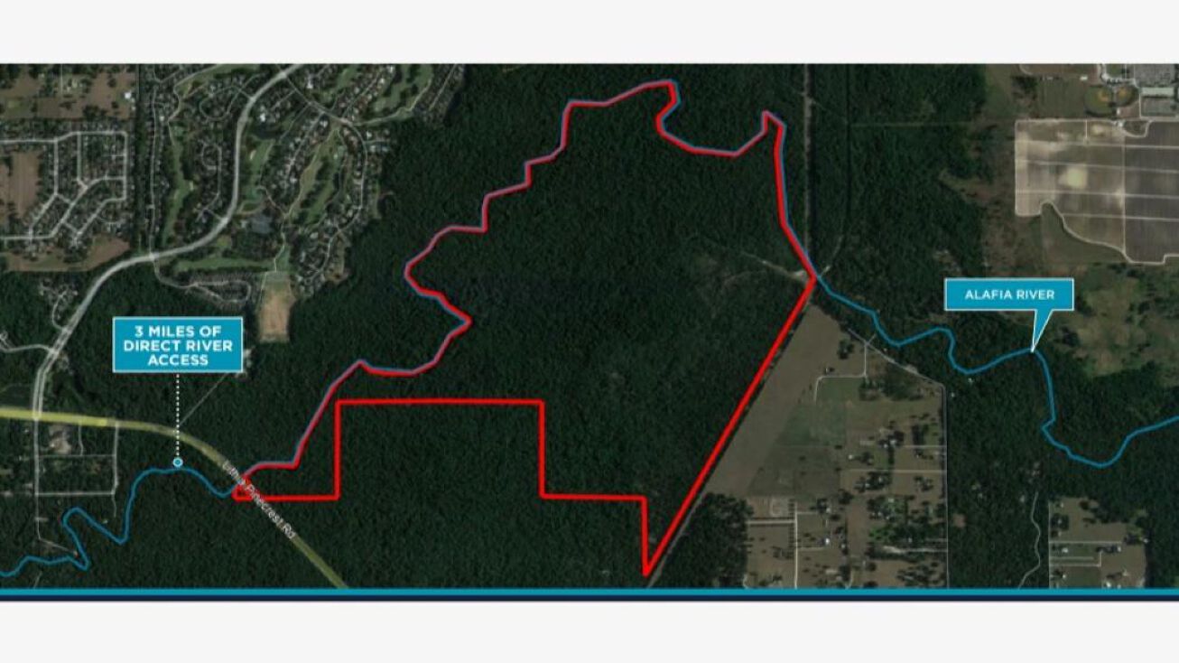 Alafia River Recreation, Valrico, FL 33596