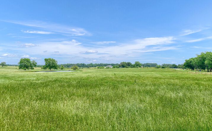 Pictures of Land property located at TBD Bones Chapel Rd, Whitesboro, TX 76273 for sales - image #1