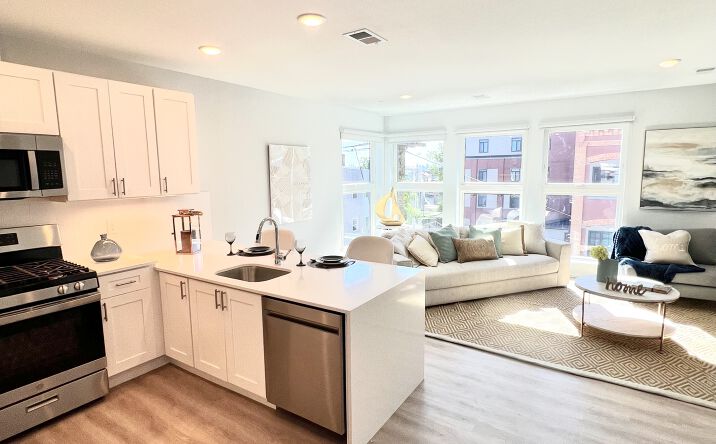 Pictures of Mixed Use, Multifamily property located at 529-531 Mulberry St, Newark, NJ 07114, 166-170 Emmet St, Newark, NJ 07114 for sales - image #1