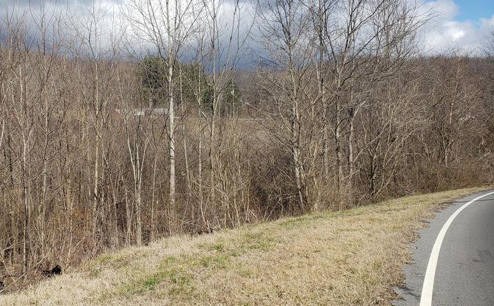 Pictures of Land property located at Meadow View Road, Bristol, TN 37620 for sales - image #1