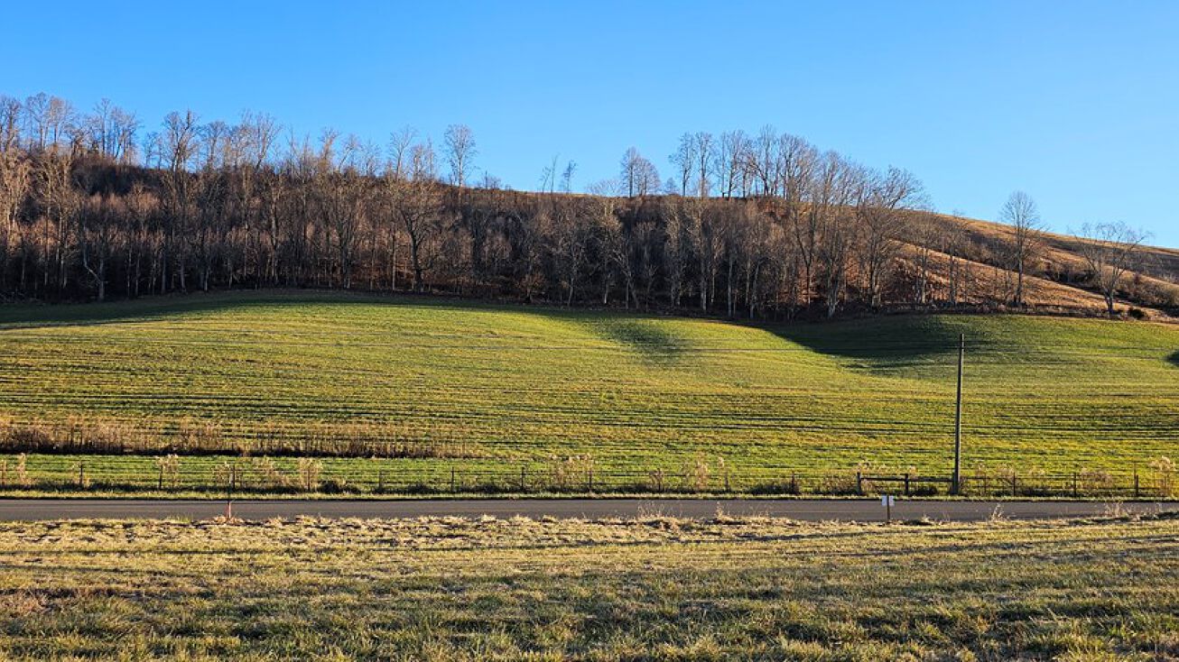 Old Saltworks Road, Meadowview, VA 24361