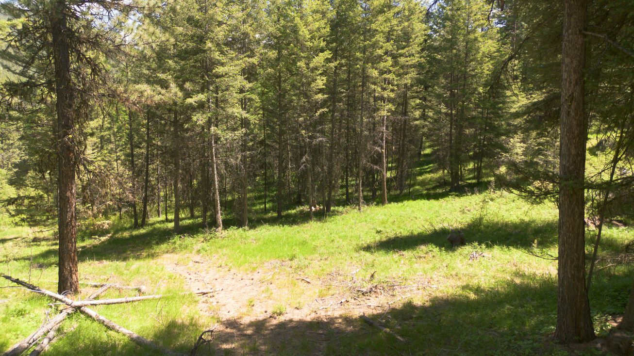 NHN Houle Creek Road, Frenchtown, MT 59834